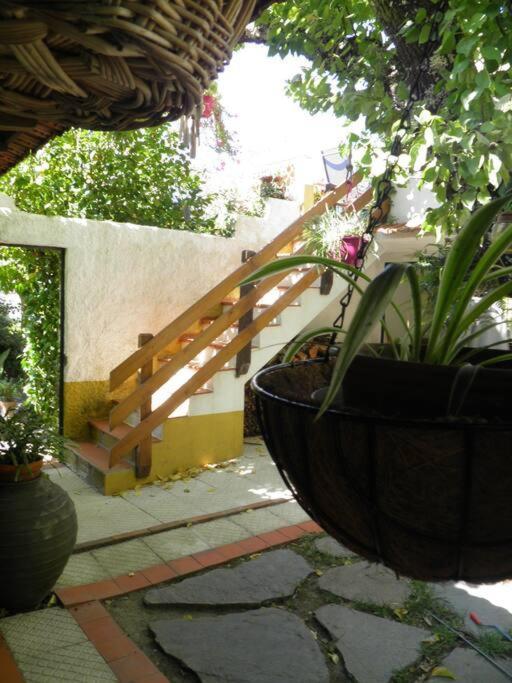 Villa Atlantic Nest Poiares à Vila Nova de Poiares Extérieur photo