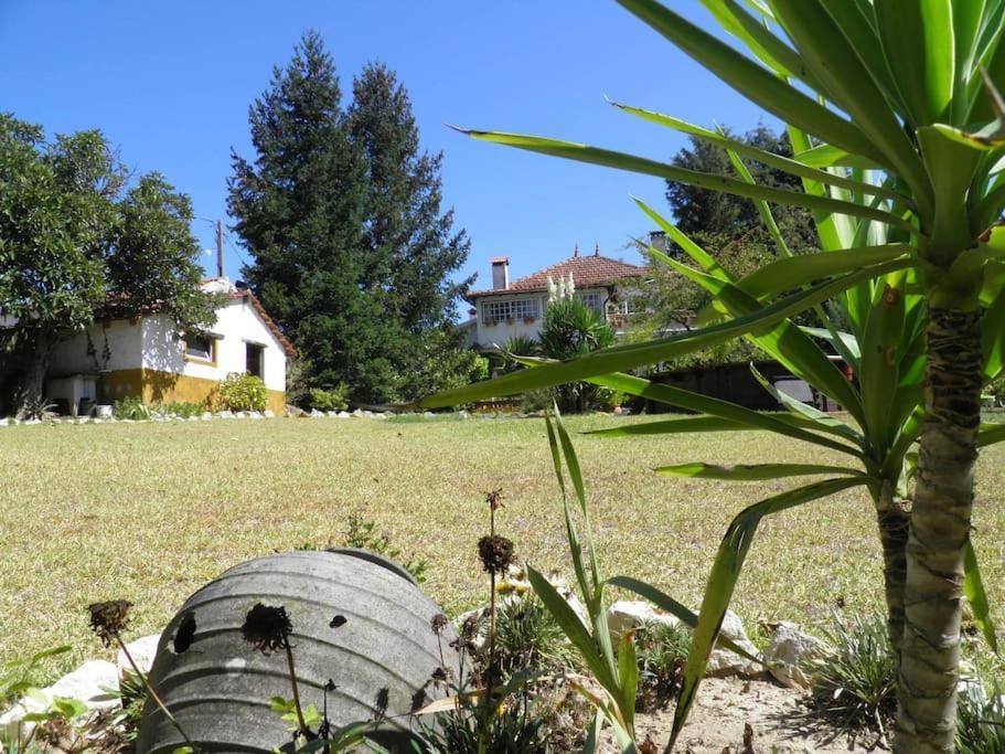 Villa Atlantic Nest Poiares à Vila Nova de Poiares Extérieur photo
