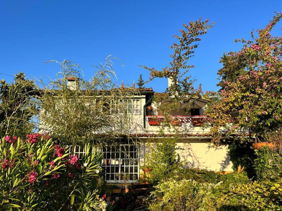 Villa Atlantic Nest Poiares à Vila Nova de Poiares Extérieur photo